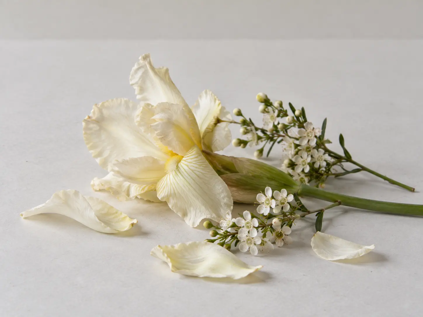Ljusa irisblommor, vita blommor och gröna stjälkar
