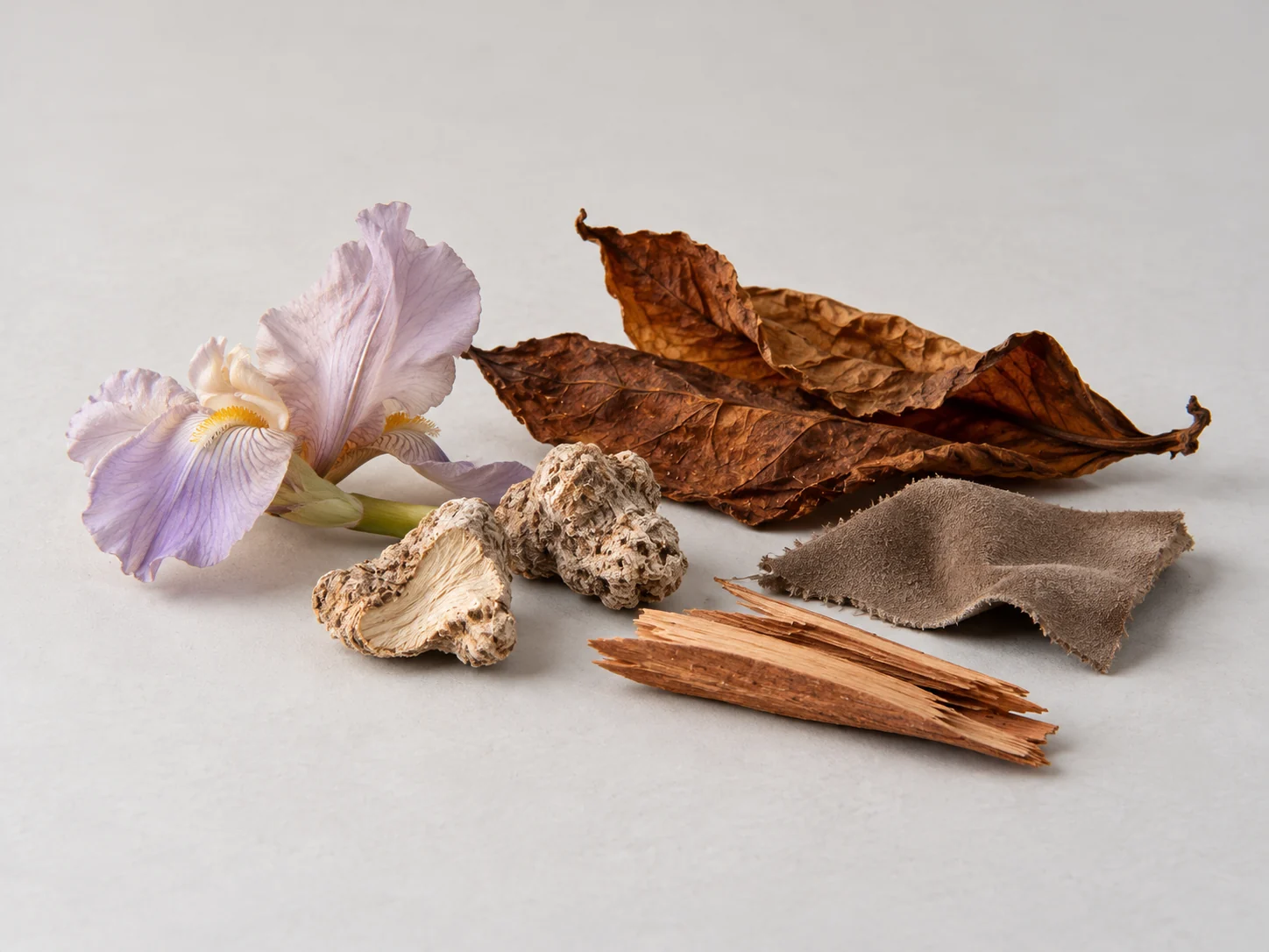 Irisblomma, irisrot, torkade tobaksblad, mocka och cederträ på en ljus studioyta